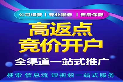 搜索引擎优化（SEO）与竞价广告（SEM）的对比案例